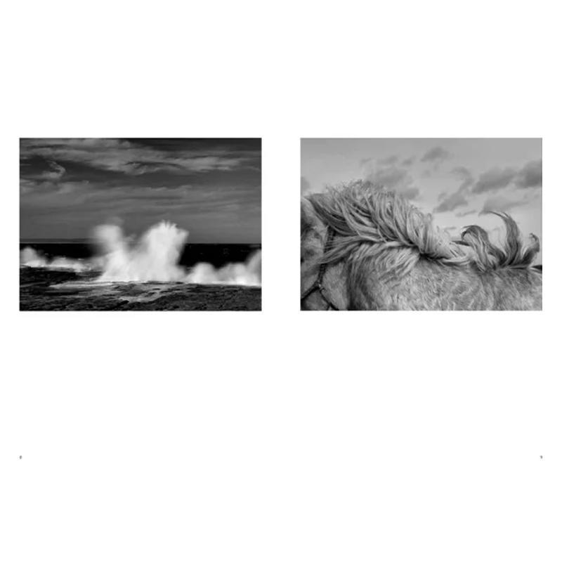 Bekijk met verwondering de Eng - Photography University recensie en prijs