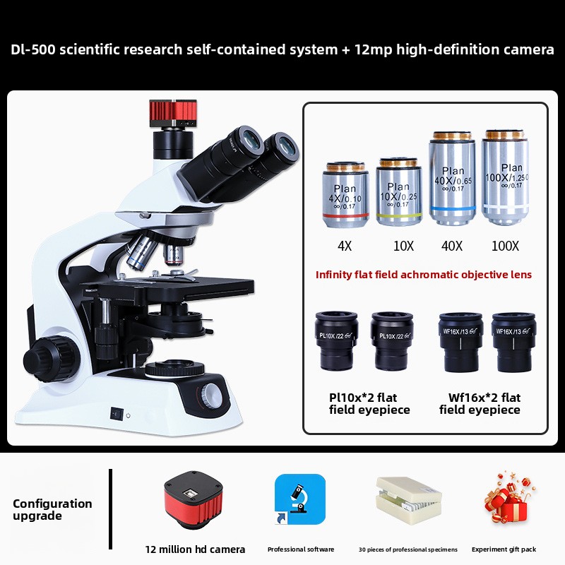 Microscoop, systeemexperiment  - Photography University recensie en prijs
