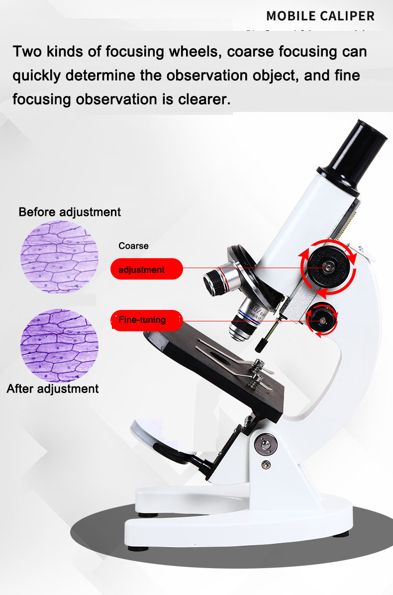 Optische Professionele Biologi - Photography University recensie en prijs
