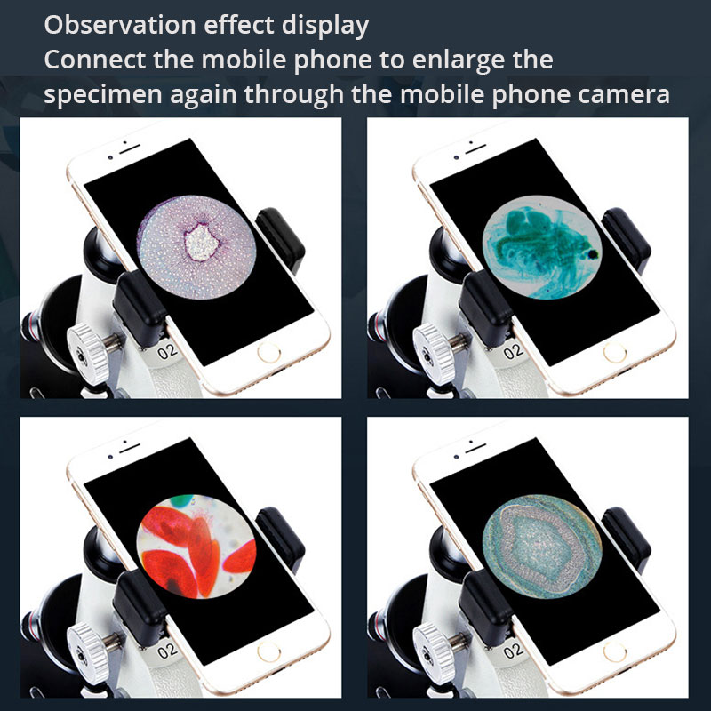 Optische Professionele Biologi - Photography University recensie en prijs