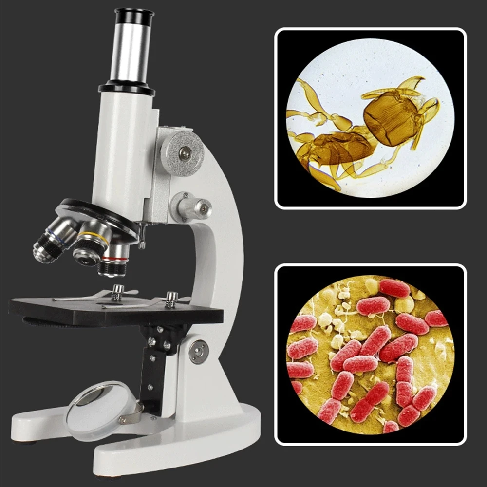 Optische Biologische Microscoo - Photography University recensie en prijs